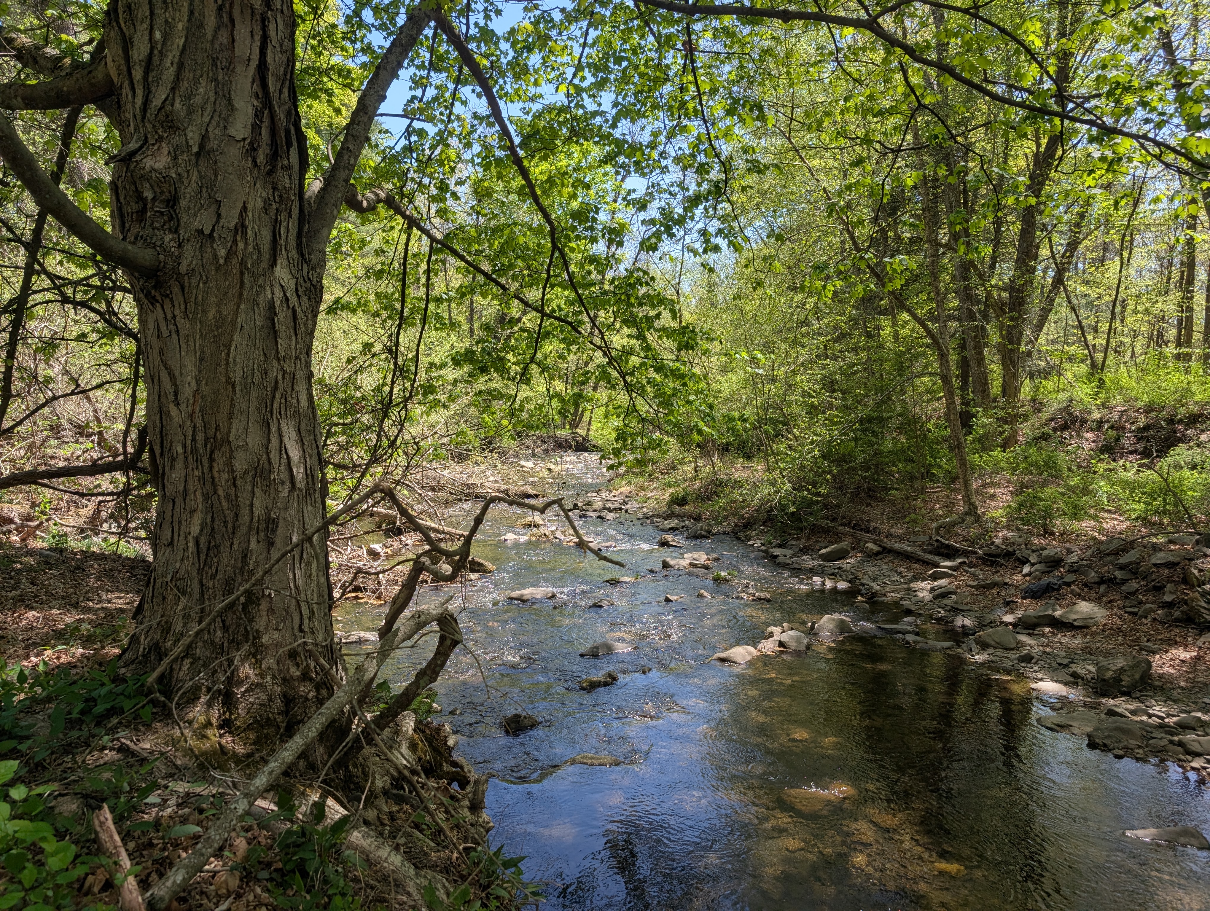 A Hidden Path
