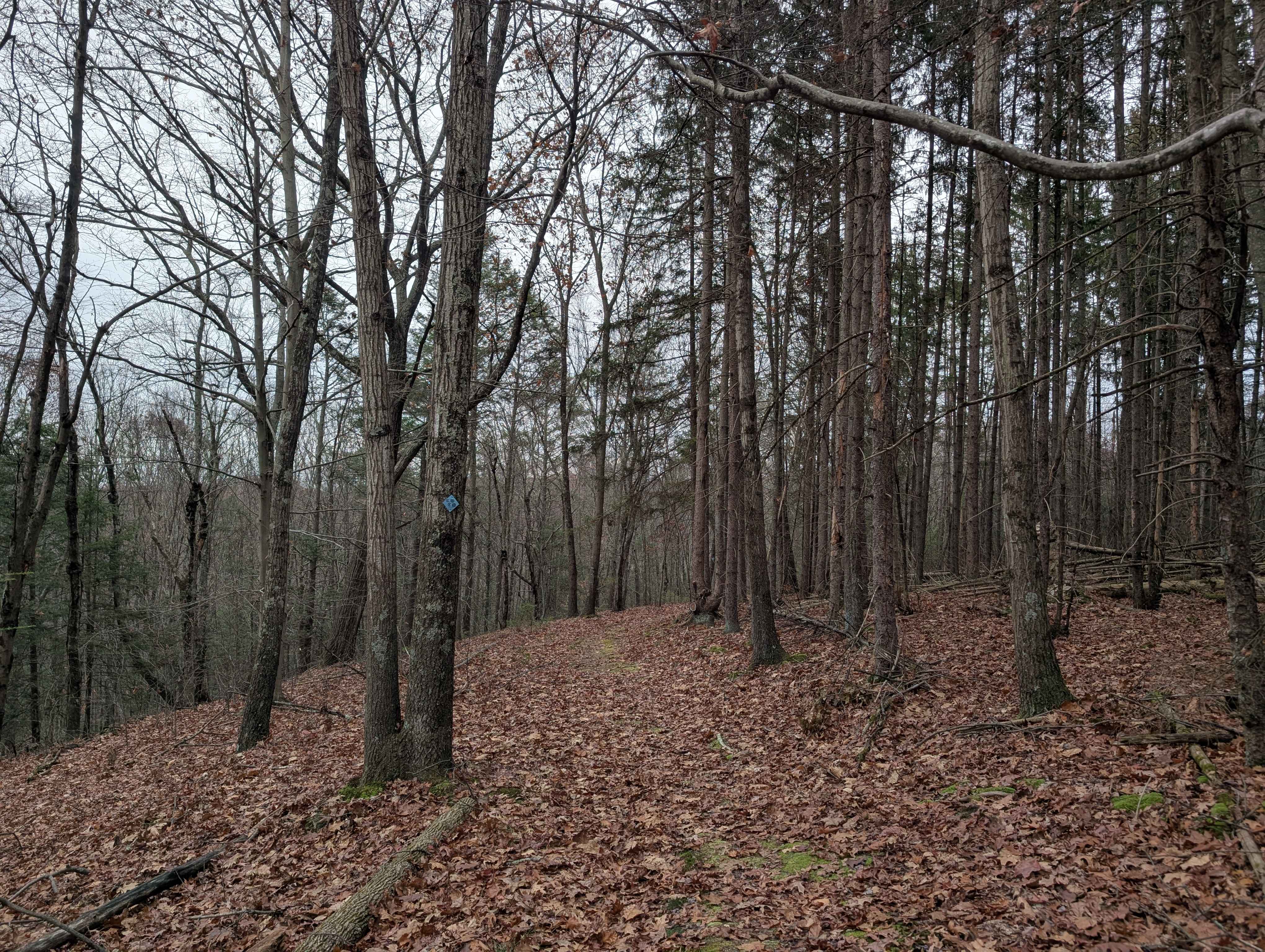 Walking the Trail Backwards